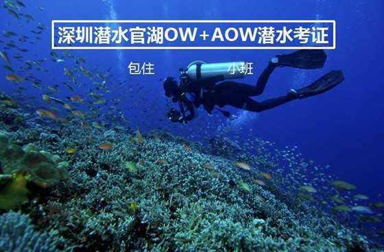 探索低保人员交社保后不能享受低保吗,解决你疑惑