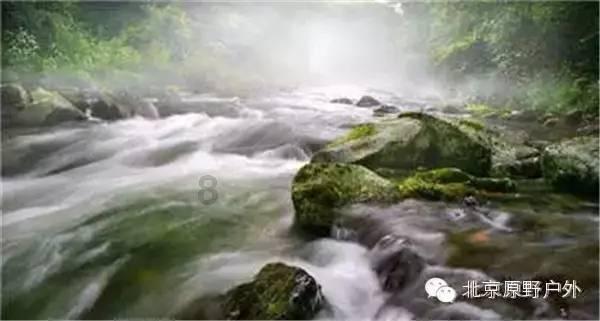 最全面的求问这个作文有什么语法错误问答网站