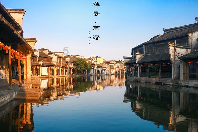 马尾松的用途有哪些?——你的全能问答平台